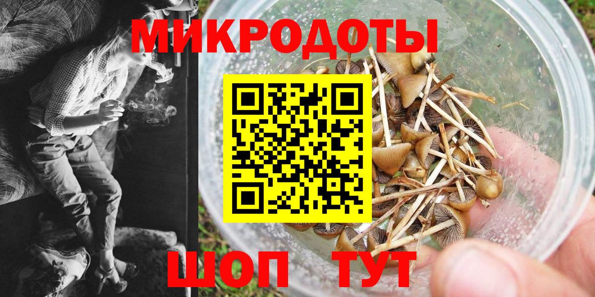 Галлюциногенные грибы прущие грибы Белорецк
