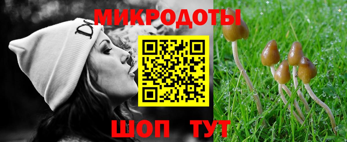 Псилоцибиновые грибы мицелий  Галлюциногенные грибы Psilocybe  Белорецк 