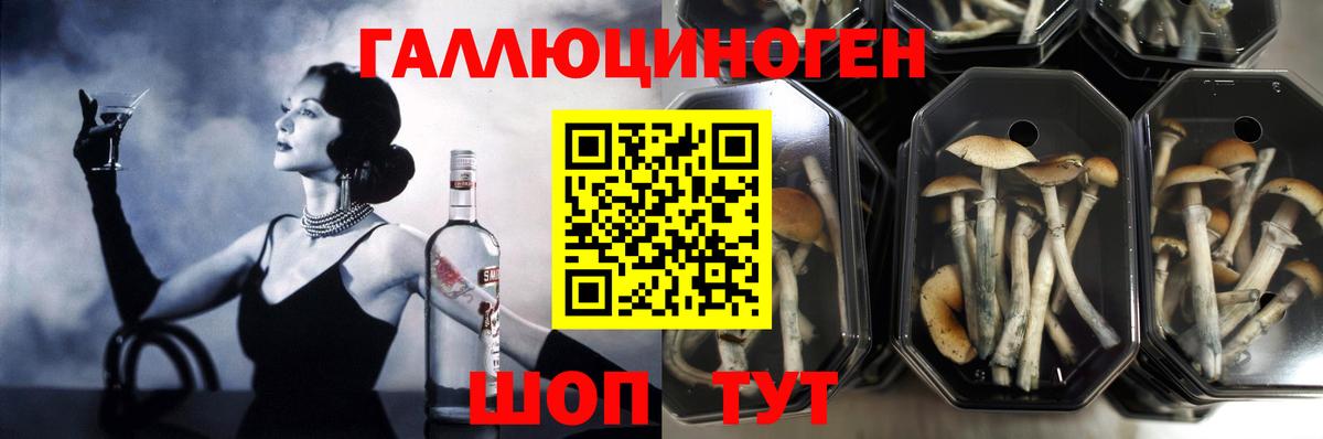 Псилоцибиновые грибы мицелий  Вход с VPN  Белорецк 